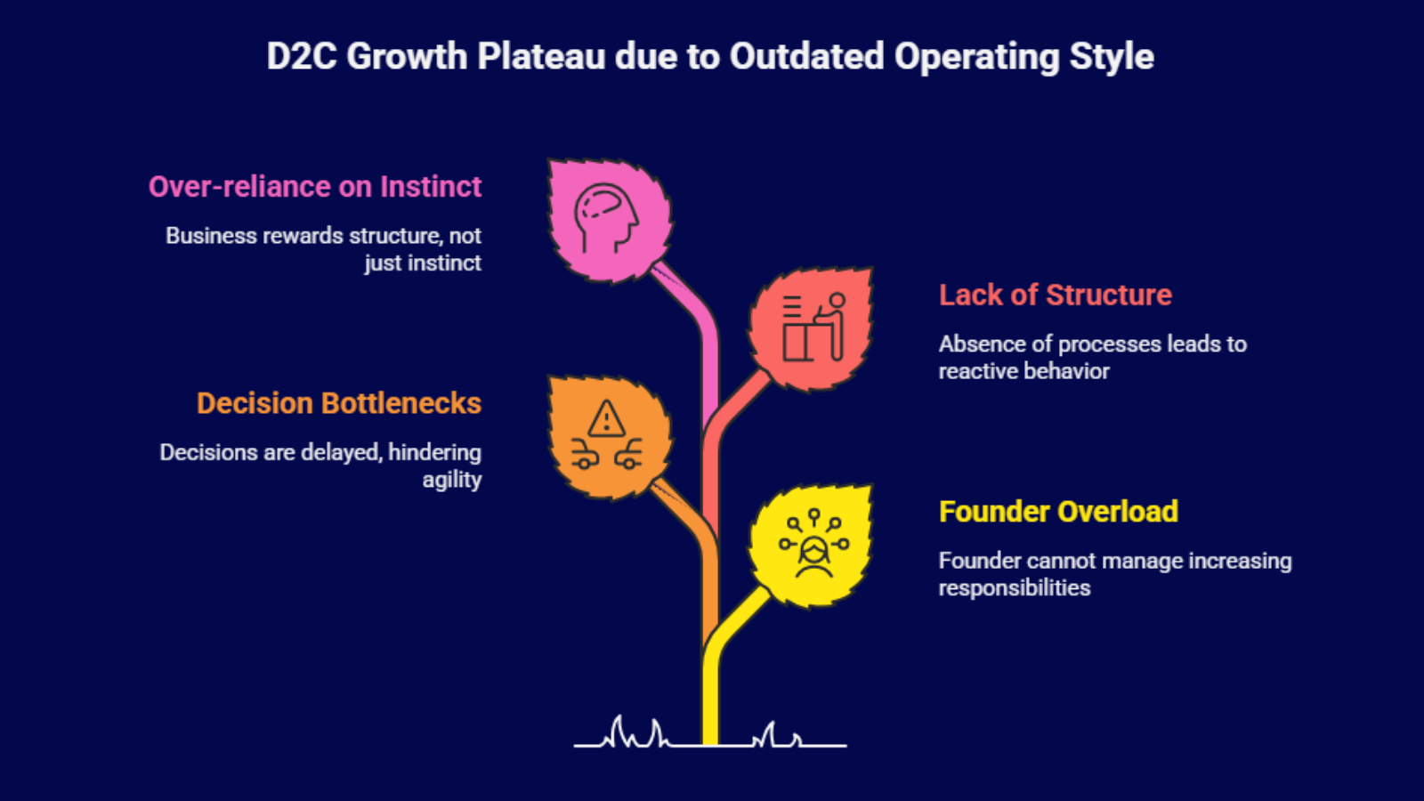 d2c growth plateau due to lack of structure and founder dependency