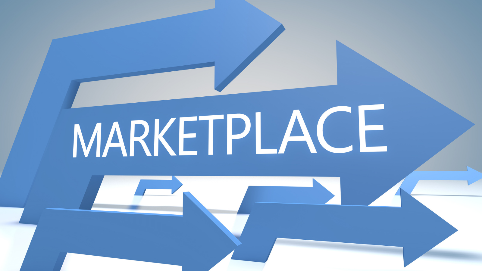 marketplace growth and demand access for indian d2c brands
