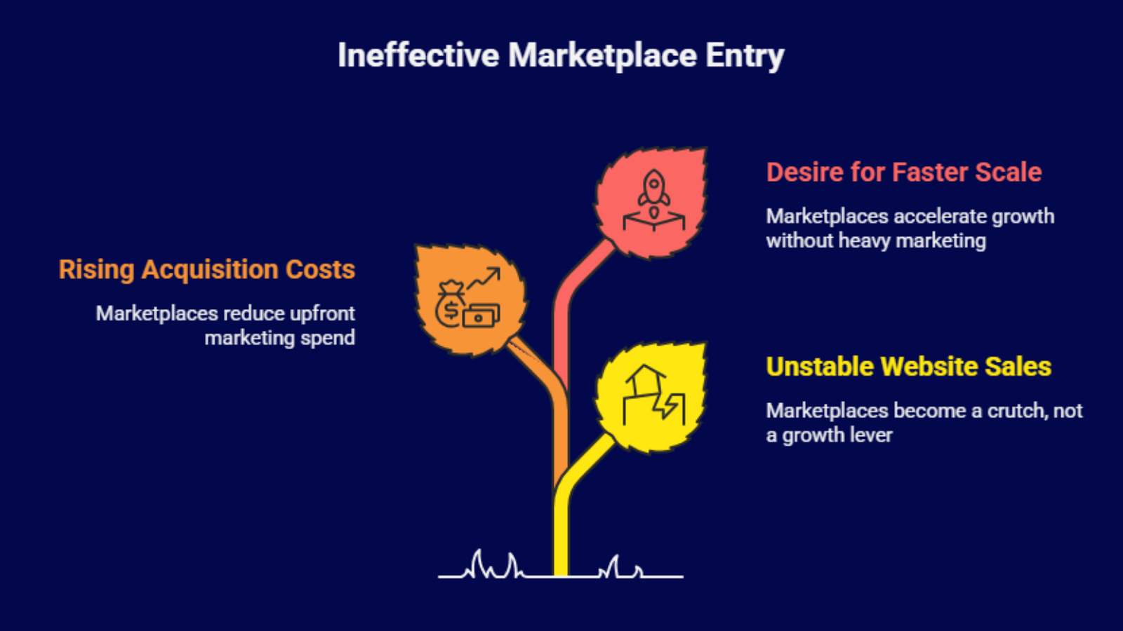 marketplace growth and demand access for indian d2c brands