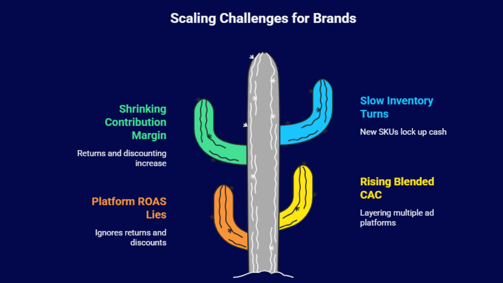 Scaling challenges infographic showing rising cac shrinking margins and slow inventory turns