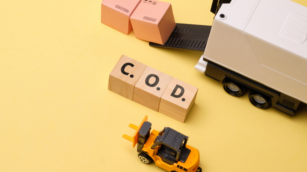 COD serviceability planning showing a COD parcel and the need to exclude high-RTO pin codes before an ecommerce sale