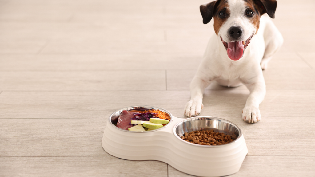 Pet care products illustrating variant accuracy and size-related risks in ecommerce order fulfillment