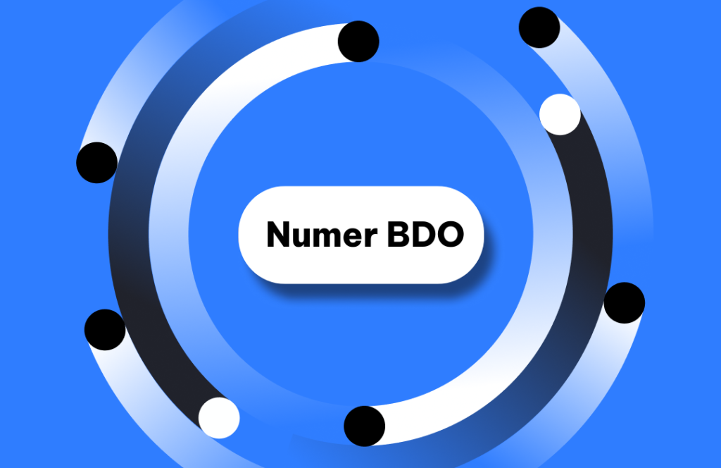 Numer BDO co to