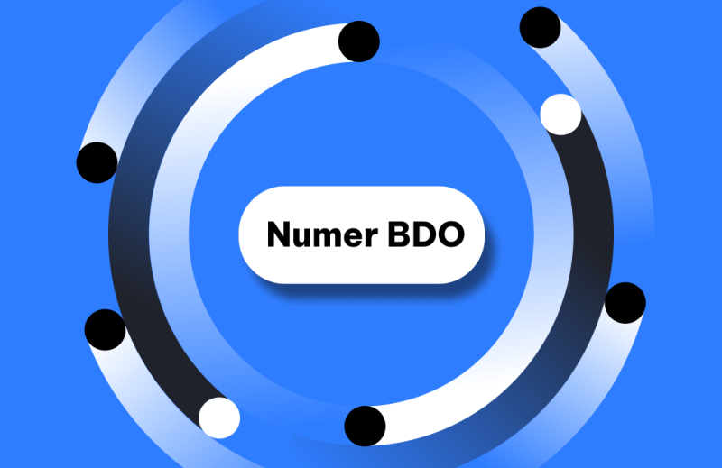 Numer BDO co to